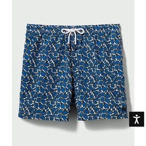 Men’s size XL Solid and Striped swim trunks